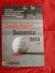 Libro usato in vendita Domenica nera Claudio Paglieri