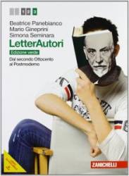 Libro usato in vendita LetterAutori edizione verde Panebianco Gineprini Seminara