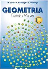 Libro usato in vendita Geometria C Maria Angela Cerini