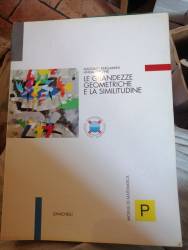 Libro usato in vendita Le grandezze geometriche e la similitudine Massimo Bergamini, Anna Trifone