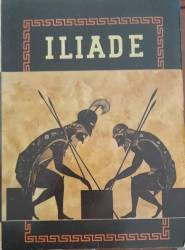 Libro usato in vendita Iliade Omero