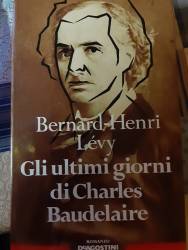 Libro usato in vendita Gli ultimi giorni di Charles Baudelaire Bernard-Henry-Lévy