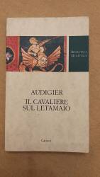 Libro usato in vendita Il cavaliere sul letamaio Audigier