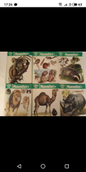 Libro usato in vendita Grande enciclopedia illustrata degli animali vari