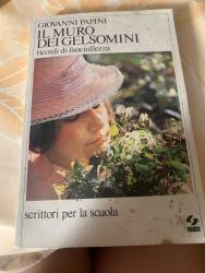 Libro usato in vendita IL MURO DEI GELSOMINI Giovanni Papini