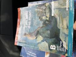 Libri usati in dono Il più bello dei mari antologia per il primo bienio con percorso le origini della literatura Paola biglia Paola Manfredo alessandra terrile