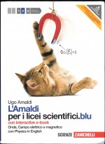 Libro usato in vendita L'Amaldi per i licei scintifici Ugo Amaldi